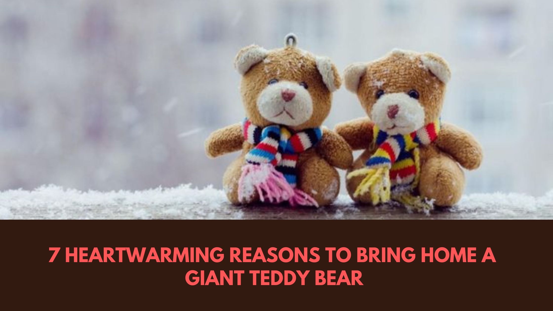 7 Heartwarming Reasons to Bring Home a Giant Teddy Bear